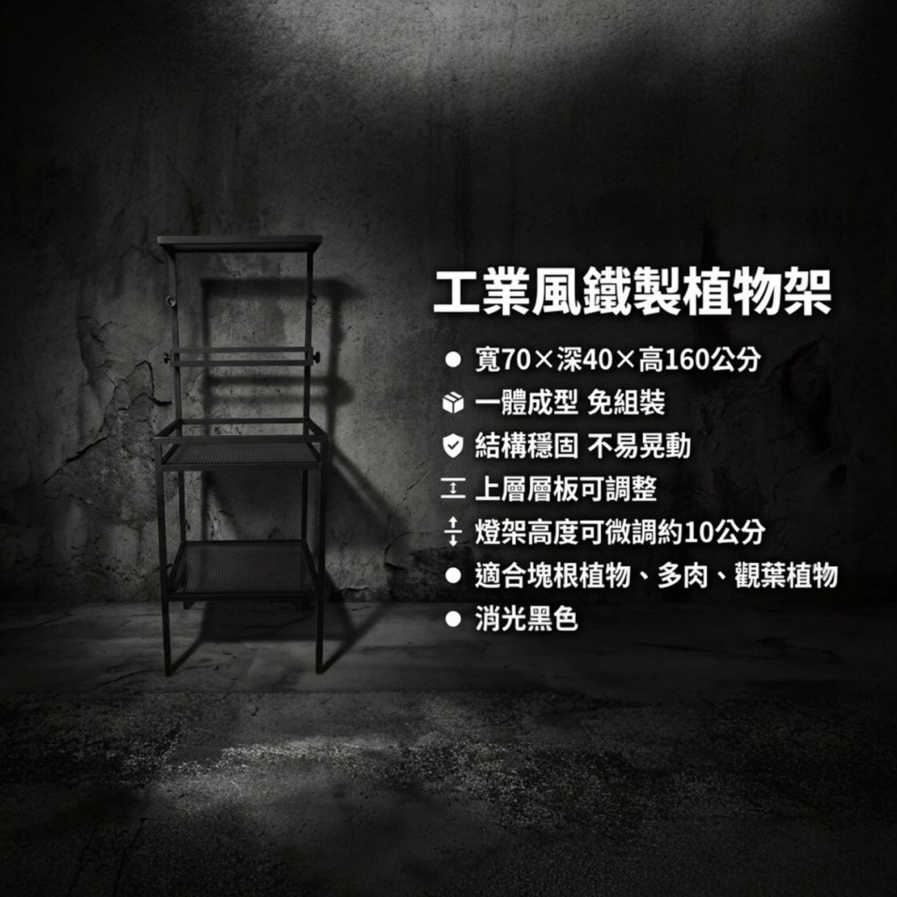 一體成型工業風鐵製植物架，出貨即為完成品，免組裝、開箱即可使用，結構穩固、不易晃動，適合塊根植物、多肉、觀葉植物展示使用。